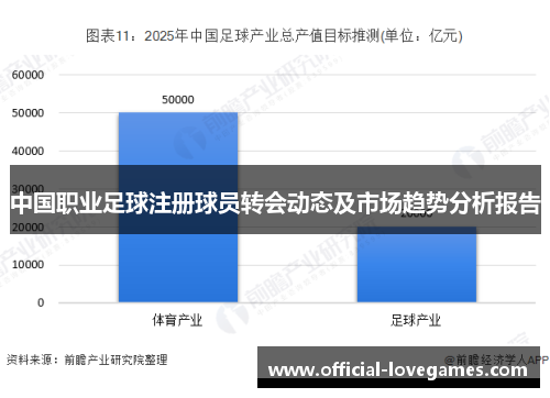 中国职业足球注册球员转会动态及市场趋势分析报告